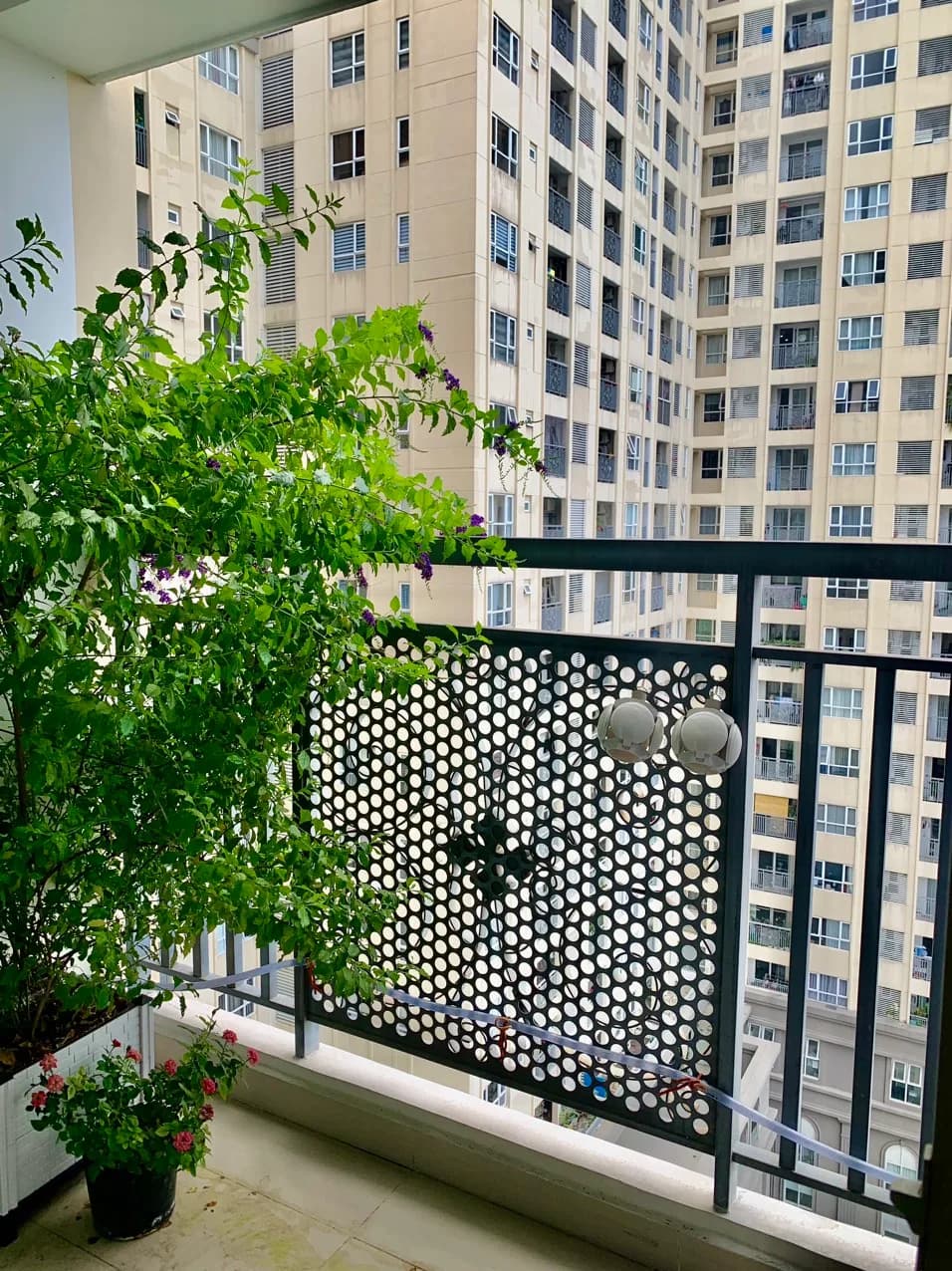 chung cư saigon mia 3PN 2WC căn gốc bán giá tốt - 3