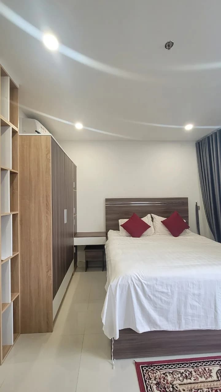 cho thuê sudio full nội thất chung cư Boulevard Nguyễn Lương Bằng - 3